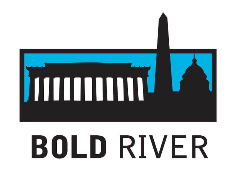 Bold River logo based in Washington DC.