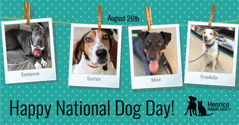 Happy National Dog Day