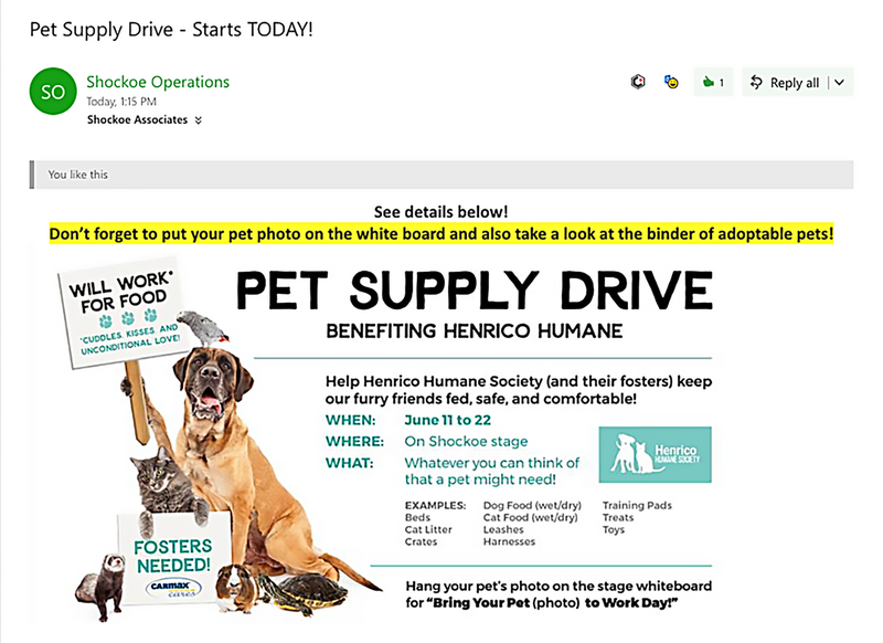Pet Supply Drive at a CarMax office. Created print flyers and email images to send out to the office to fund raise, get supplies, and adopt pets at Henrico Humane.